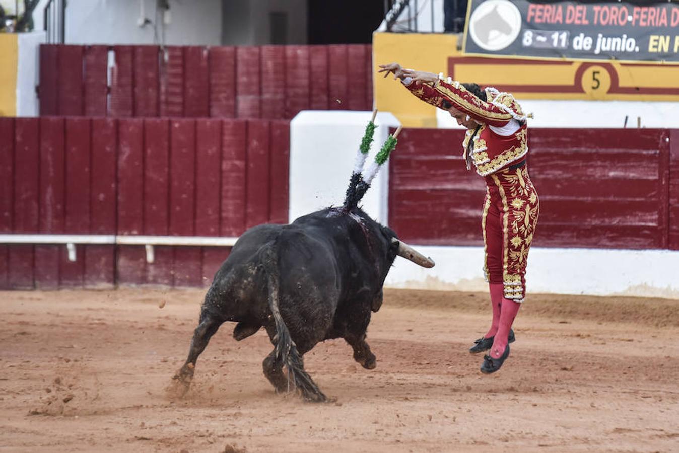 Novillada y corrida de toros del sábado en la Feria Taurina de Olivenza