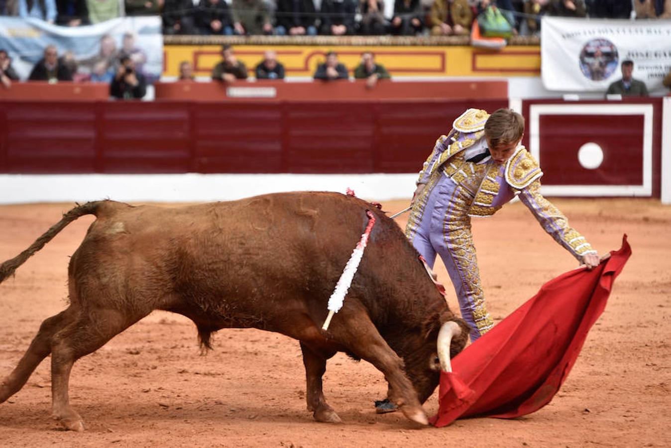 Novillada y corrida de toros del sábado en la Feria Taurina de Olivenza