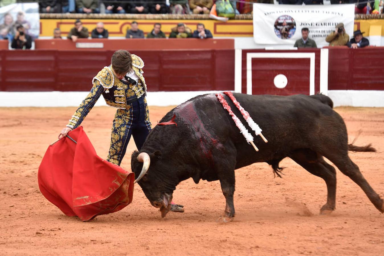 Novillada y corrida de toros del sábado en la Feria Taurina de Olivenza