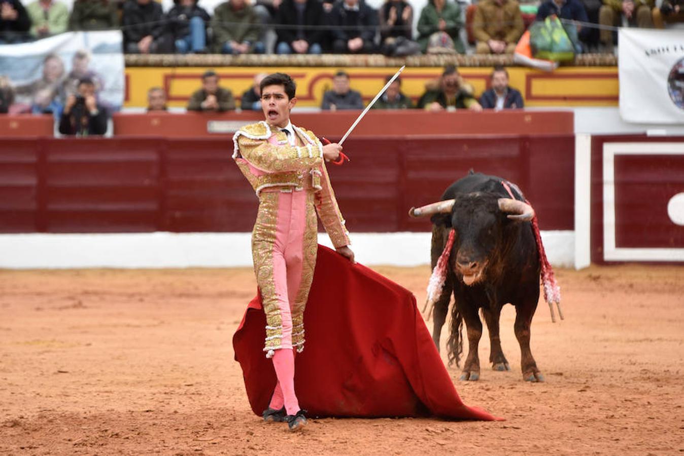 Novillada y corrida de toros del sábado en la Feria Taurina de Olivenza