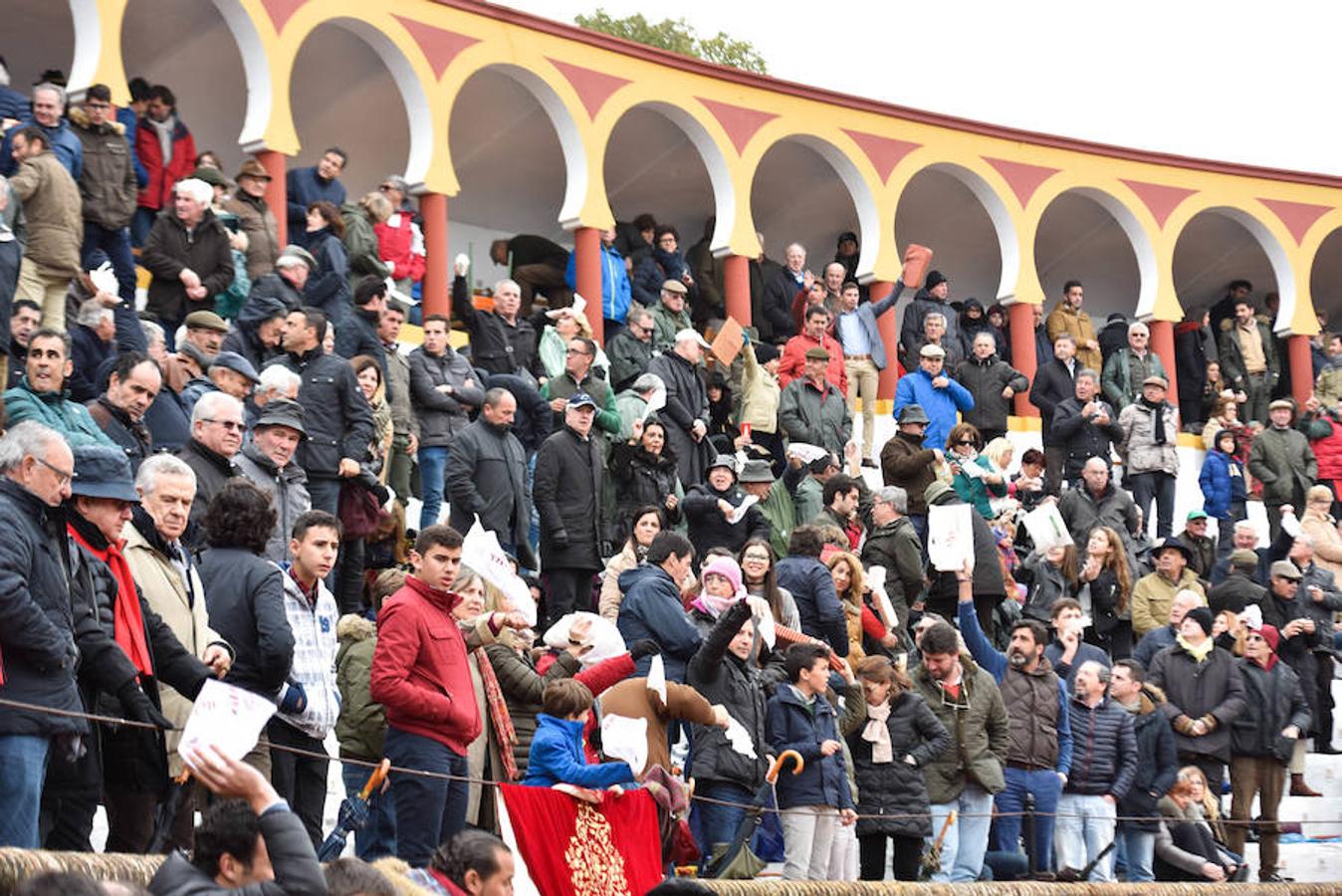 Novillada del sábado.