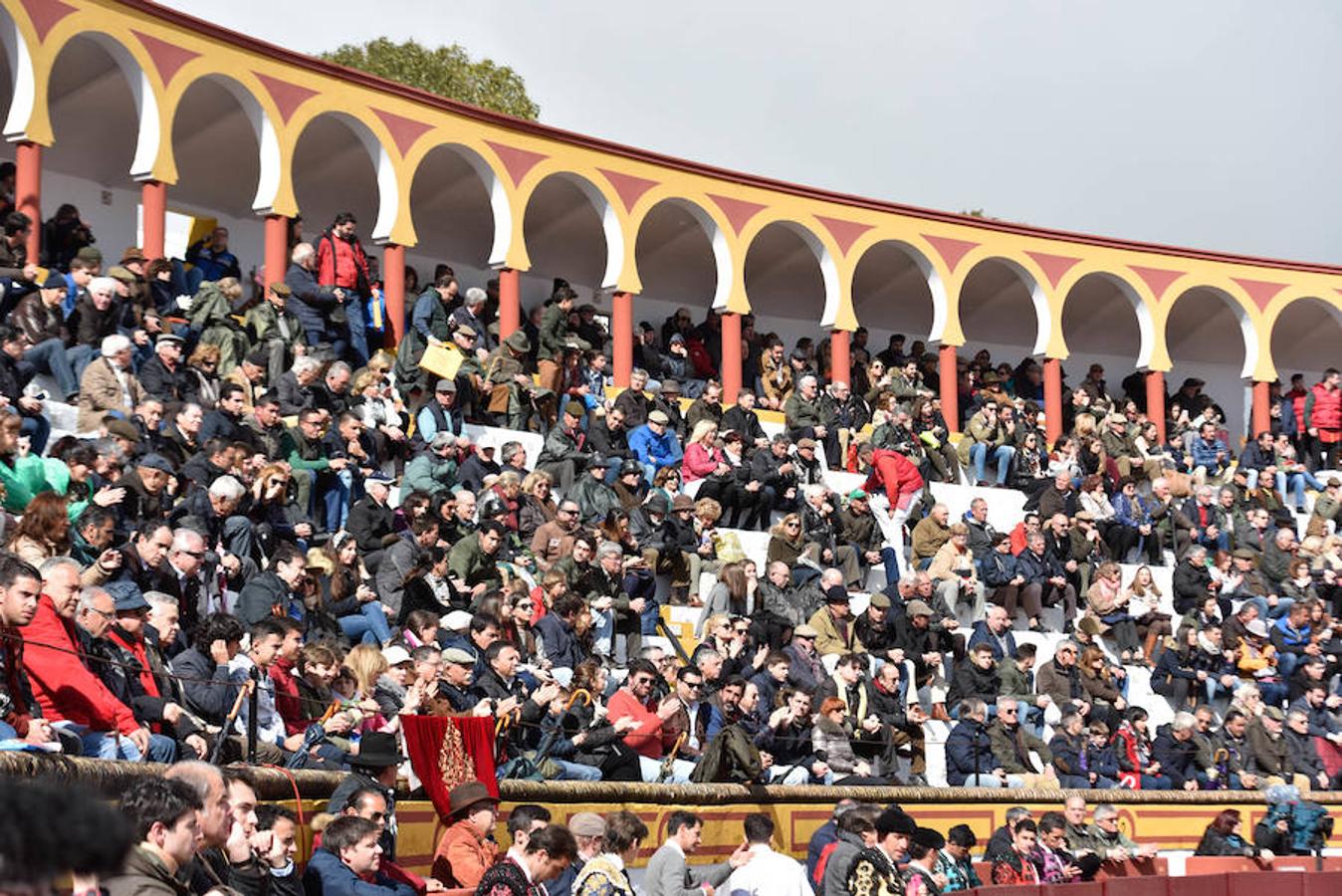 Novillada del sábado.