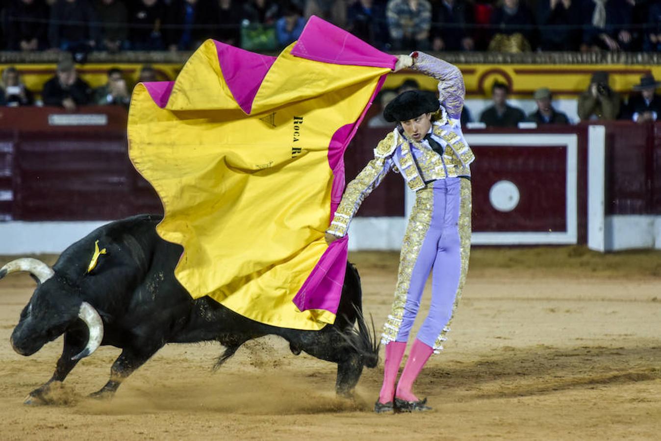 Domingo, 5 de febrero: Feria de Olivenza: El alicantino cuajó posiblemente la faena de la feria, Morante se llevó el peor lote y Roca Rey fue más efectista que artista. Fotografía: JV Arnelas