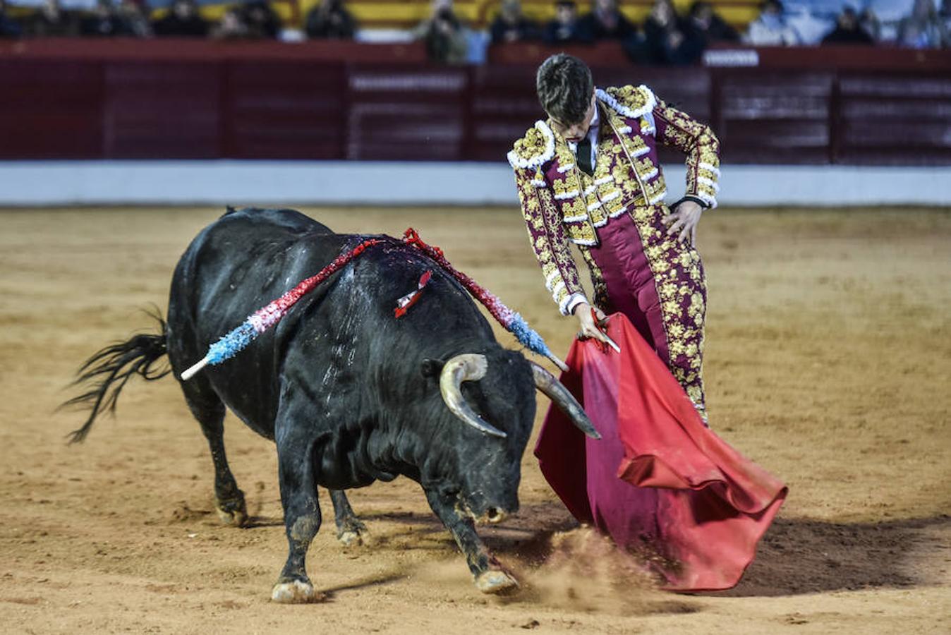 Domingo, 5 de febrero: Feria de Olivenza: El alicantino cuajó posiblemente la faena de la feria, Morante se llevó el peor lote y Roca Rey fue más efectista que artista. Fotografía: JV Arnelas