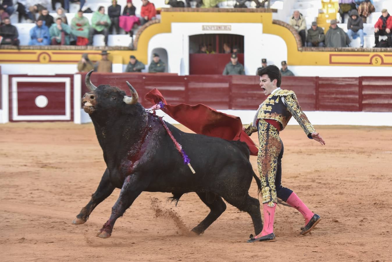 Viernes, 3 de marzo: Primera novillada de la Feria Taurina de Olivenza. El evento contó con ganado de 'El Parralejo' para Pablo Aguado, Leo Valadez y Antonio Catalán 'Toñete'. Fotografía: JV Arnelas