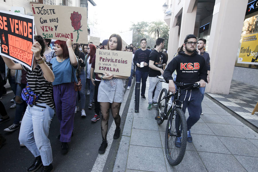 Estudiantes, padres y profesores protestan en Cáceres contra la Lomce