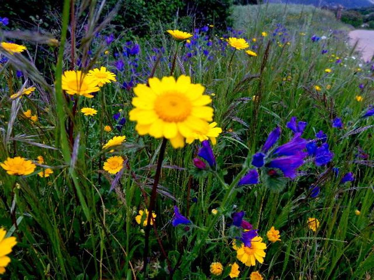 La primavera en la Siberia extremeña