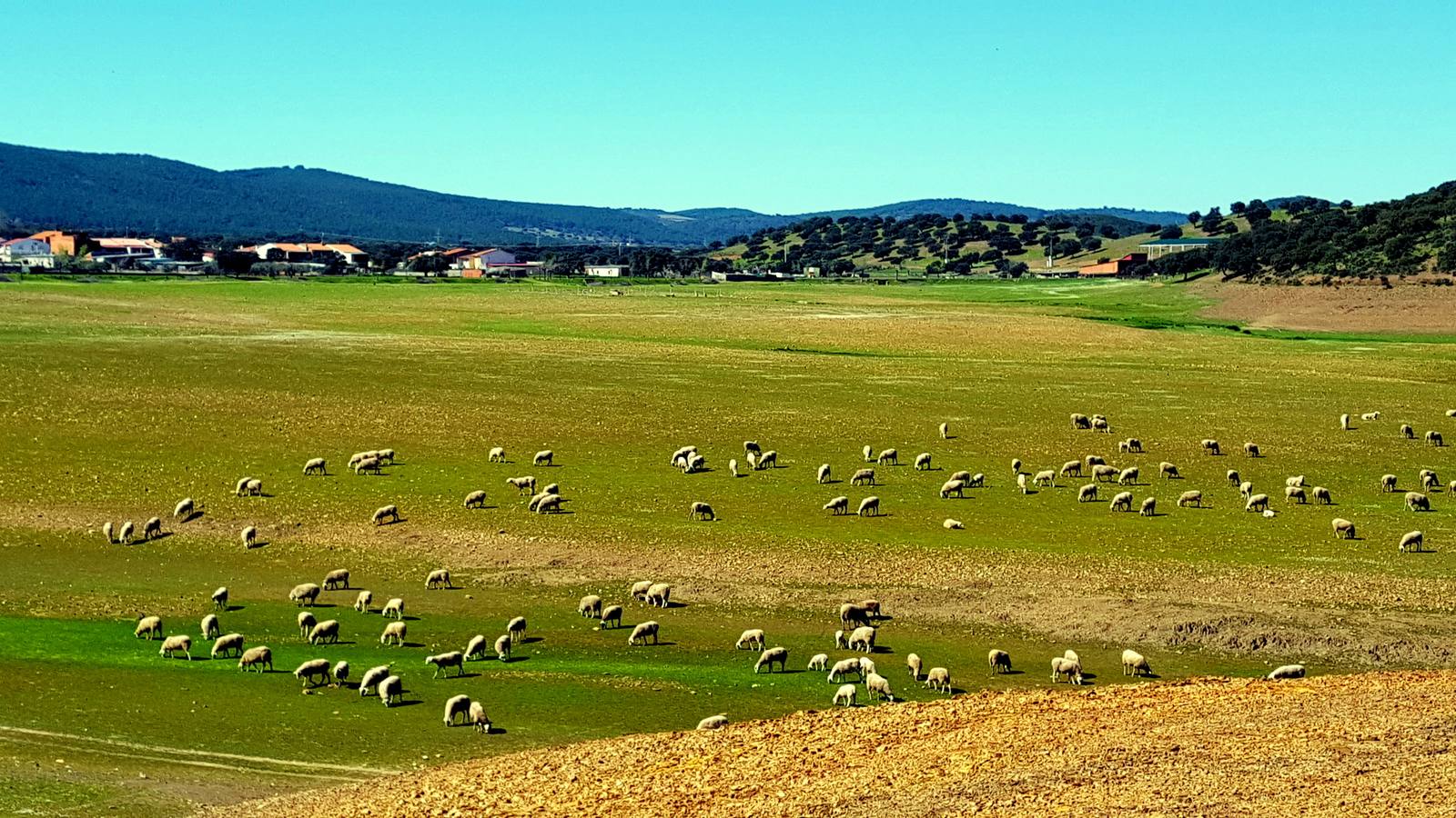 La primavera en la Siberia extremeña