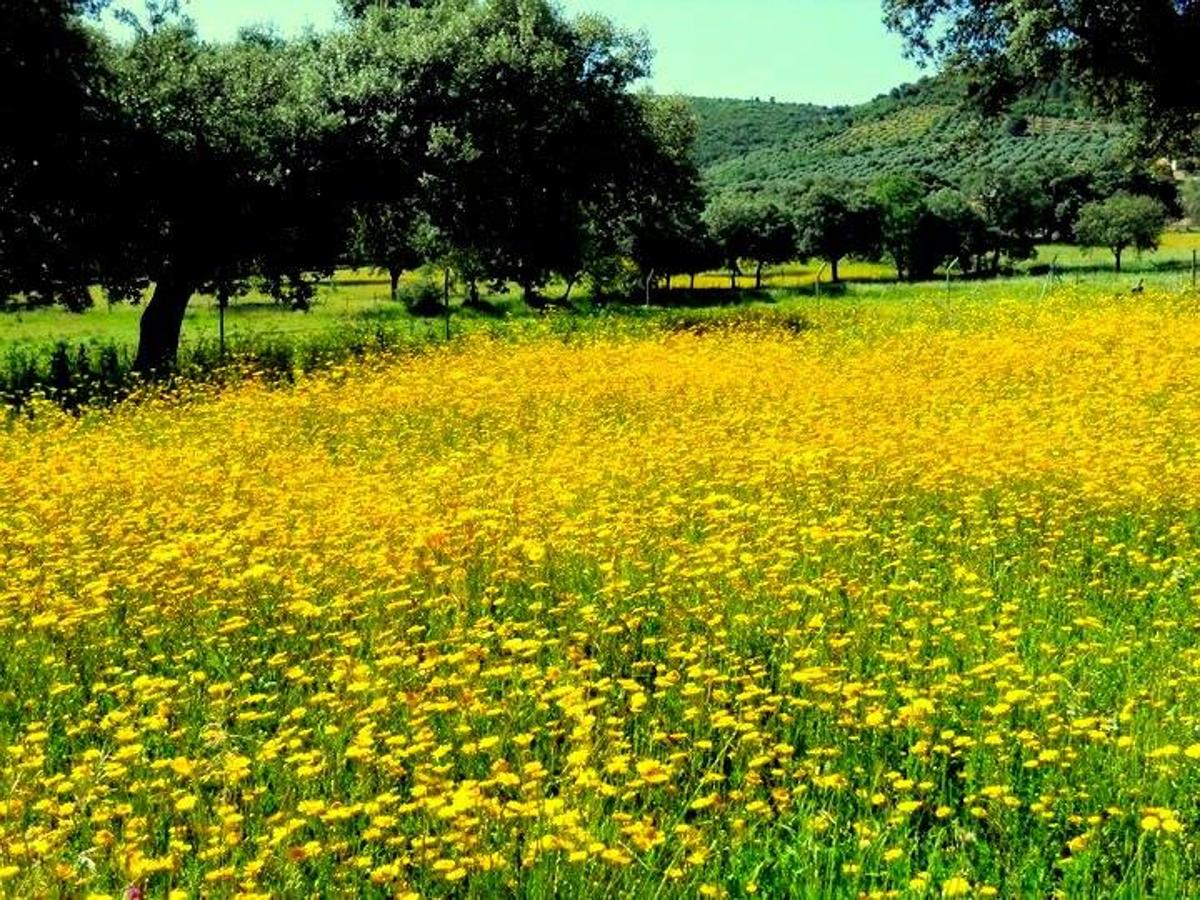 La primavera en la Siberia extremeña