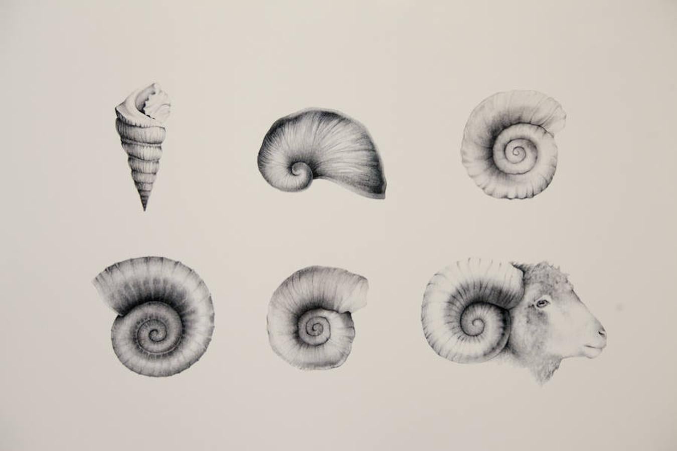 Exposición de ilustraciones de Ester García en Cáceres