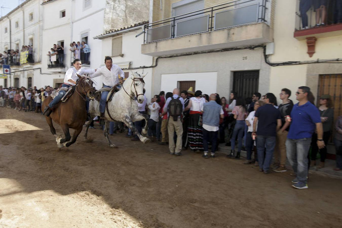 Carreras de caballos del &#039;Día de la Luz&#039;