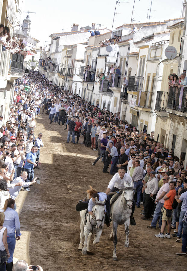 Carreras de caballos del &#039;Día de la Luz&#039;