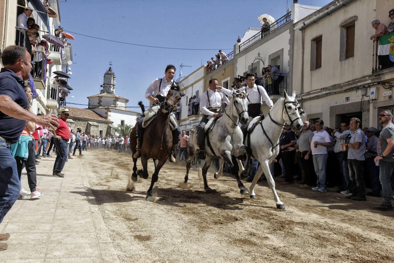 Carreras de caballos del &#039;Día de la Luz&#039;