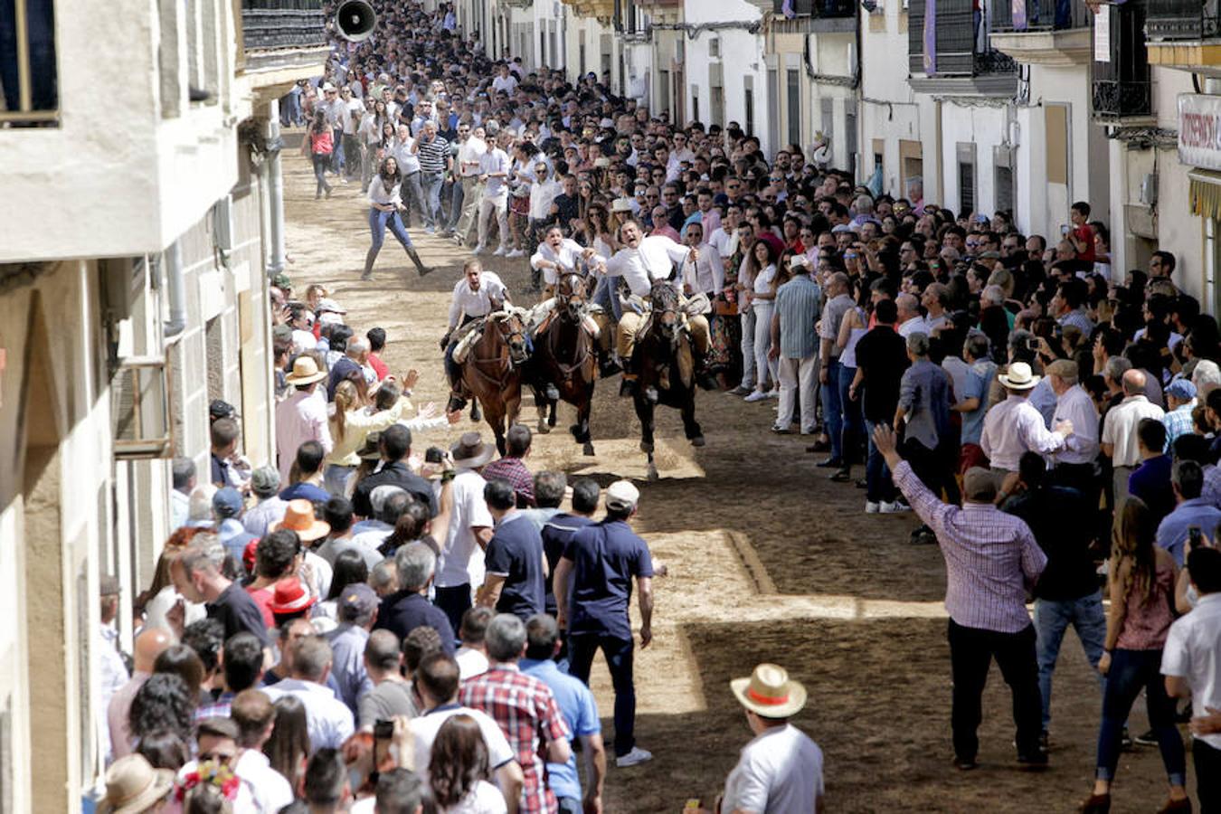 Carreras de caballos del &#039;Día de la Luz&#039;