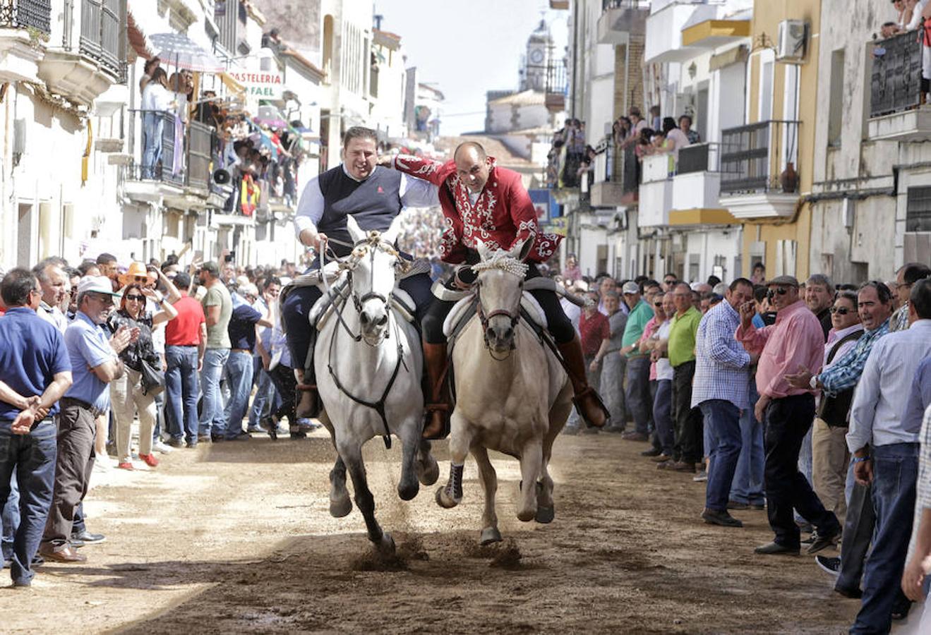 Carreras de caballos del &#039;Día de la Luz&#039;