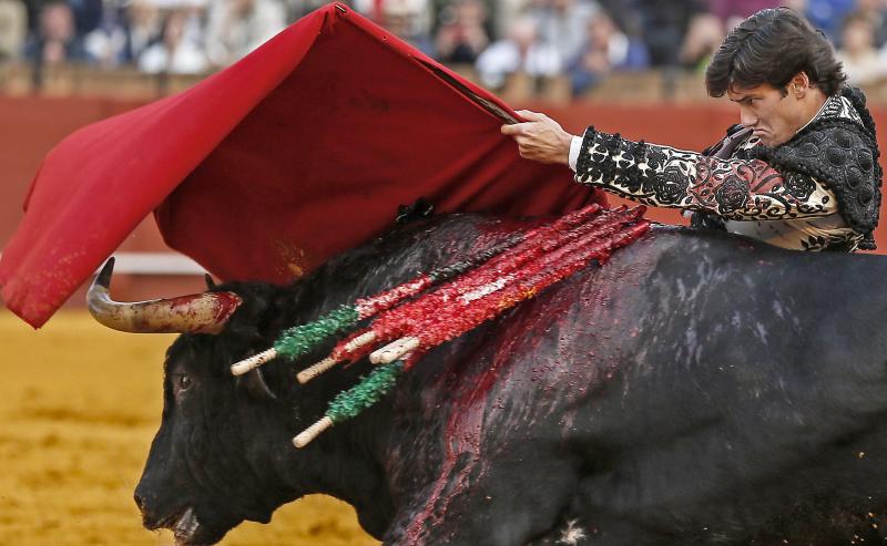 Oreja para la torería de Garrido en Sevilla