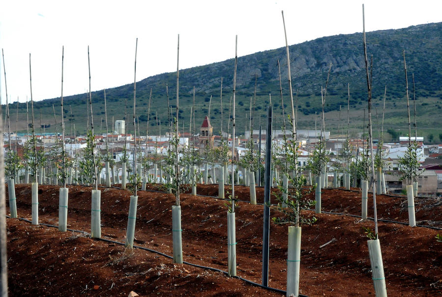 El riego ya alimenta al campo extremeño