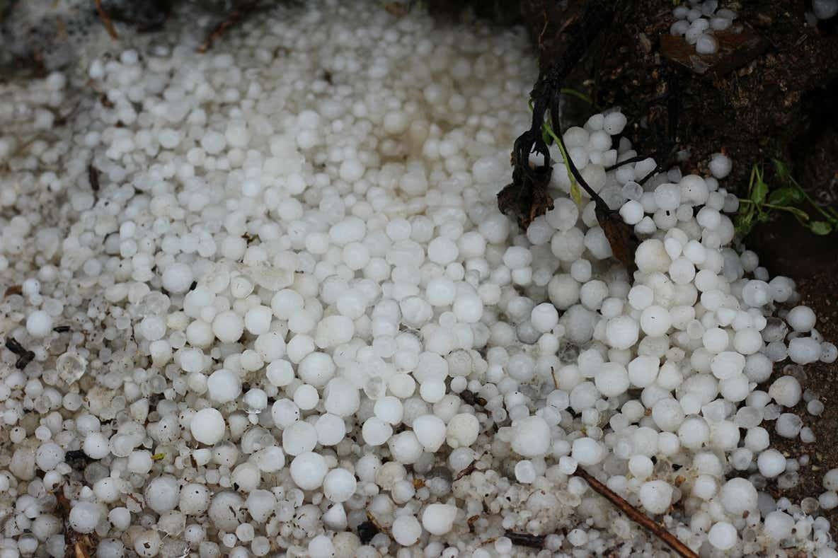 Una granizada causa daños en cultivos del norte de Cáceres