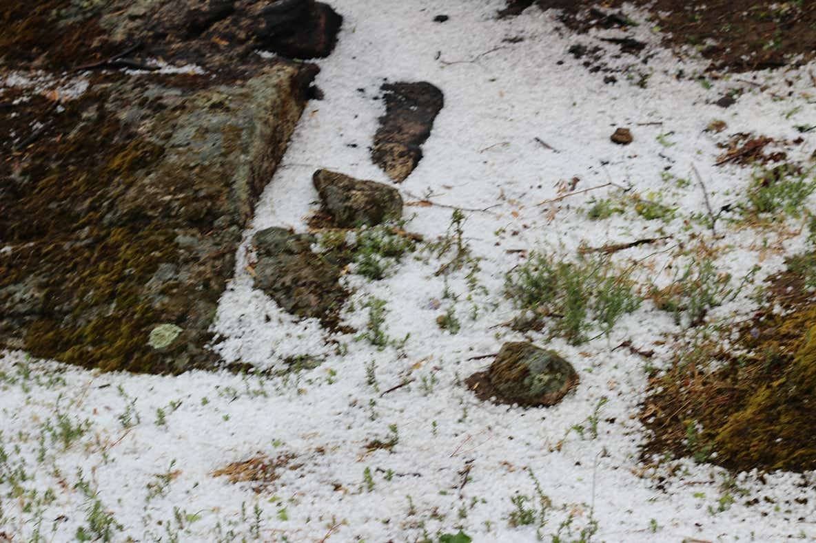 Una granizada causa daños en cultivos del norte de Cáceres