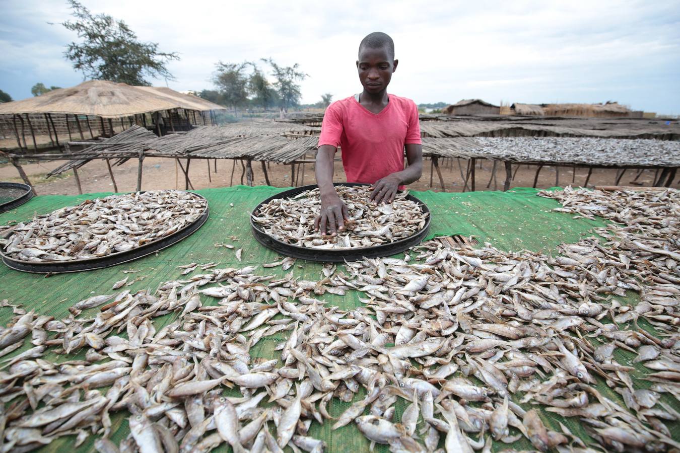 De pesca en el lago Malawi