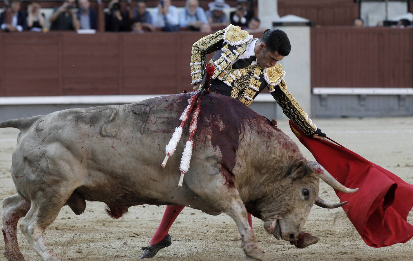 Alejandro Talavante, operado de una cornada en la pierna derecha