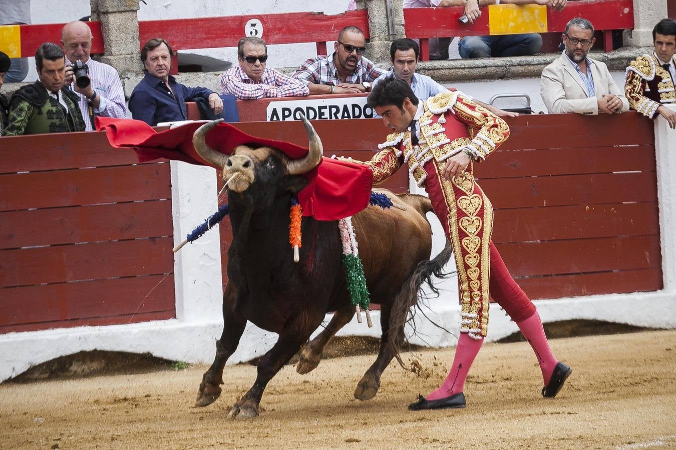 Domingo, 28 de mayo: Miguel Ángel Perera sale por la puerta Grande de la plaza de toros de Cáceres