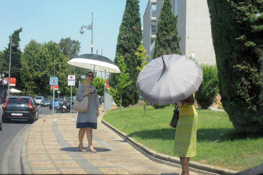 Los temómetros rozaron ayer los 41 grados en localidades tan distantes como Plasencia y Jerez de los Caballeros