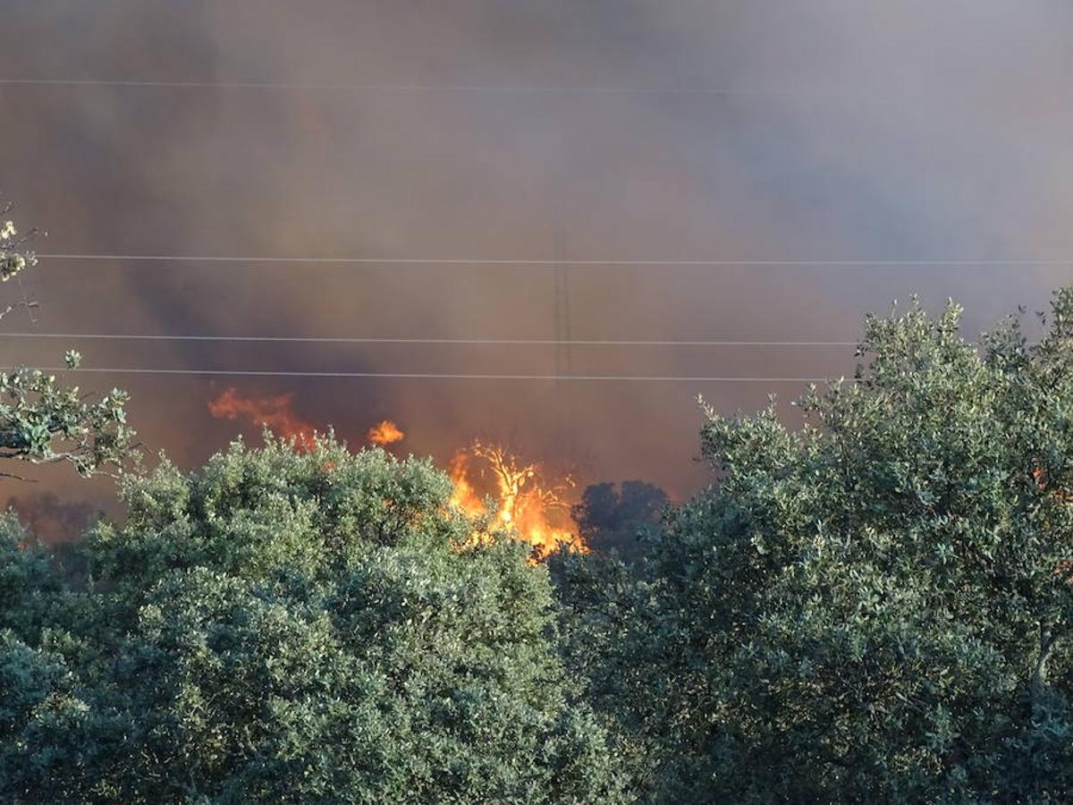 Noche de miedo en Calamonte por el incendio en la Sierra de San Serván