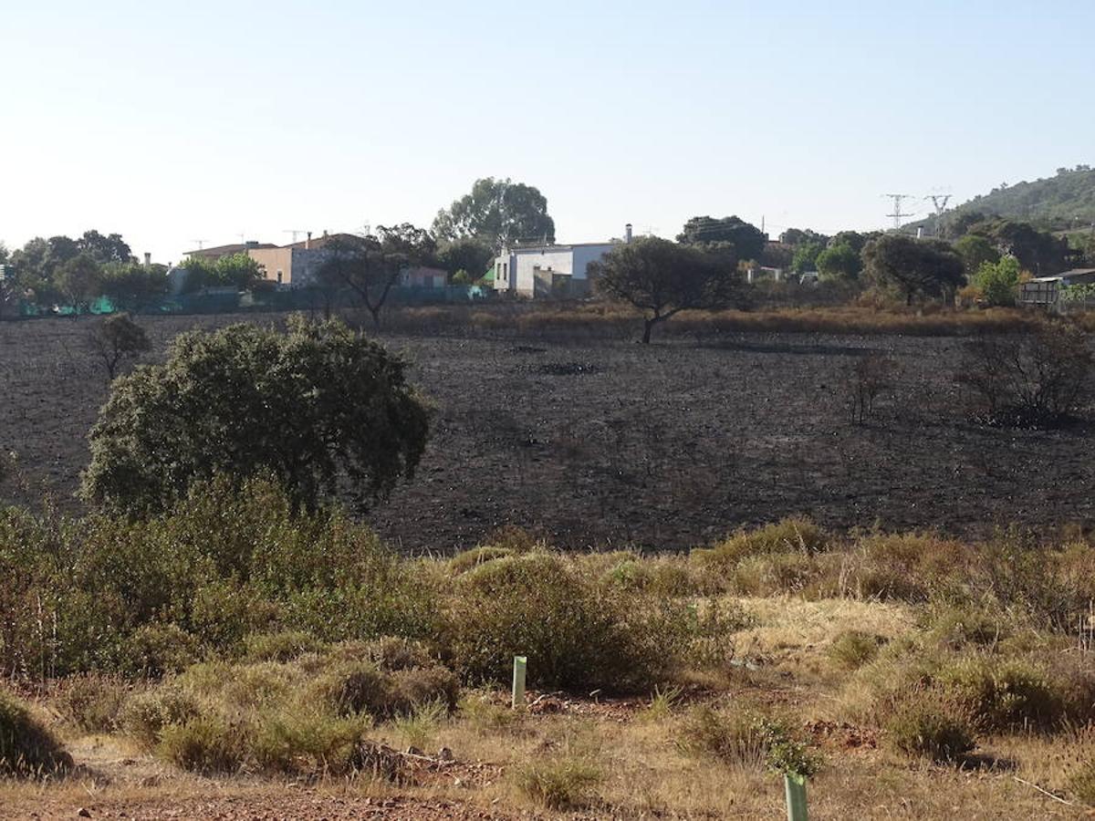 El fuego ha tenido en vilo la pasada noche a los vecinos de Arroyo y Calamonte y así estaban los terrenos afectados por el fuego esta mañana