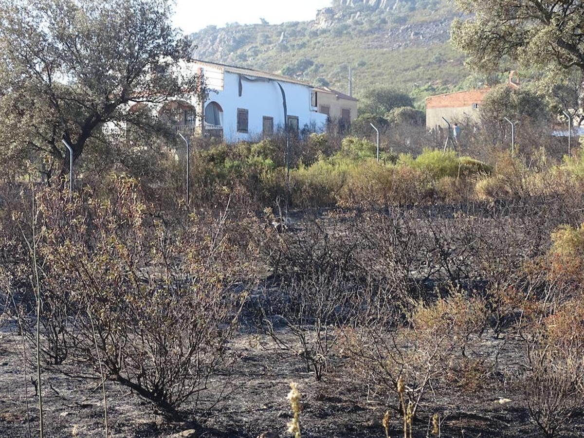 El fuego ha tenido en vilo la pasada noche a los vecinos de Arroyo y Calamonte y así estaban los terrenos afectados por el fuego esta mañana