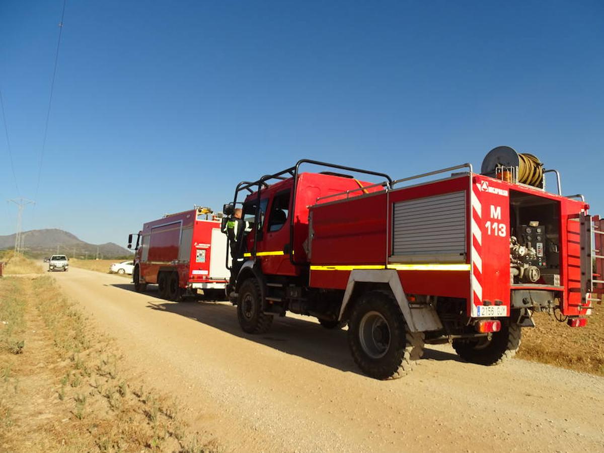 El fuego ha tenido en vilo la pasada noche a los vecinos de Arroyo y Calamonte y así estaban los terrenos afectados por el fuego esta mañana