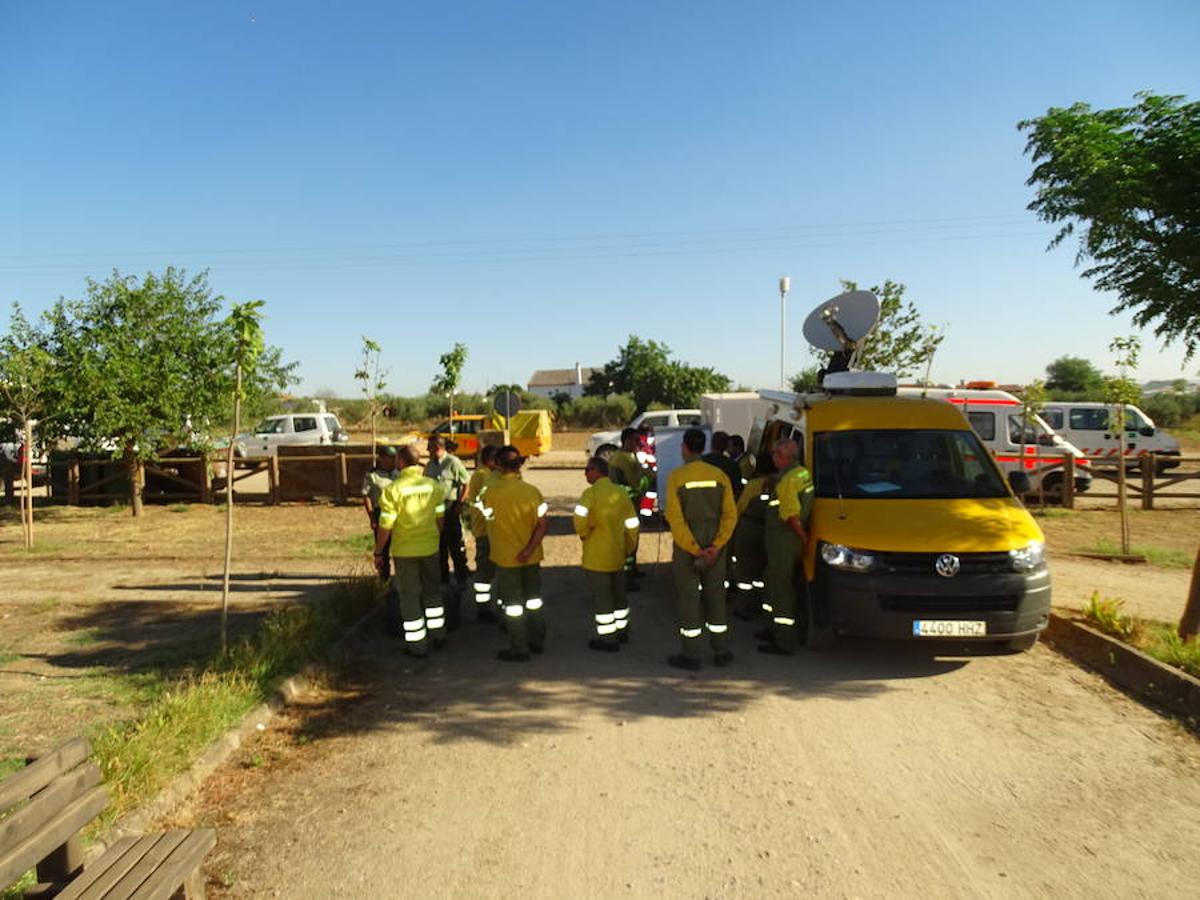 El fuego ha tenido en vilo la pasada noche a los vecinos de Arroyo y Calamonte y así estaban los terrenos afectados por el fuego esta mañana