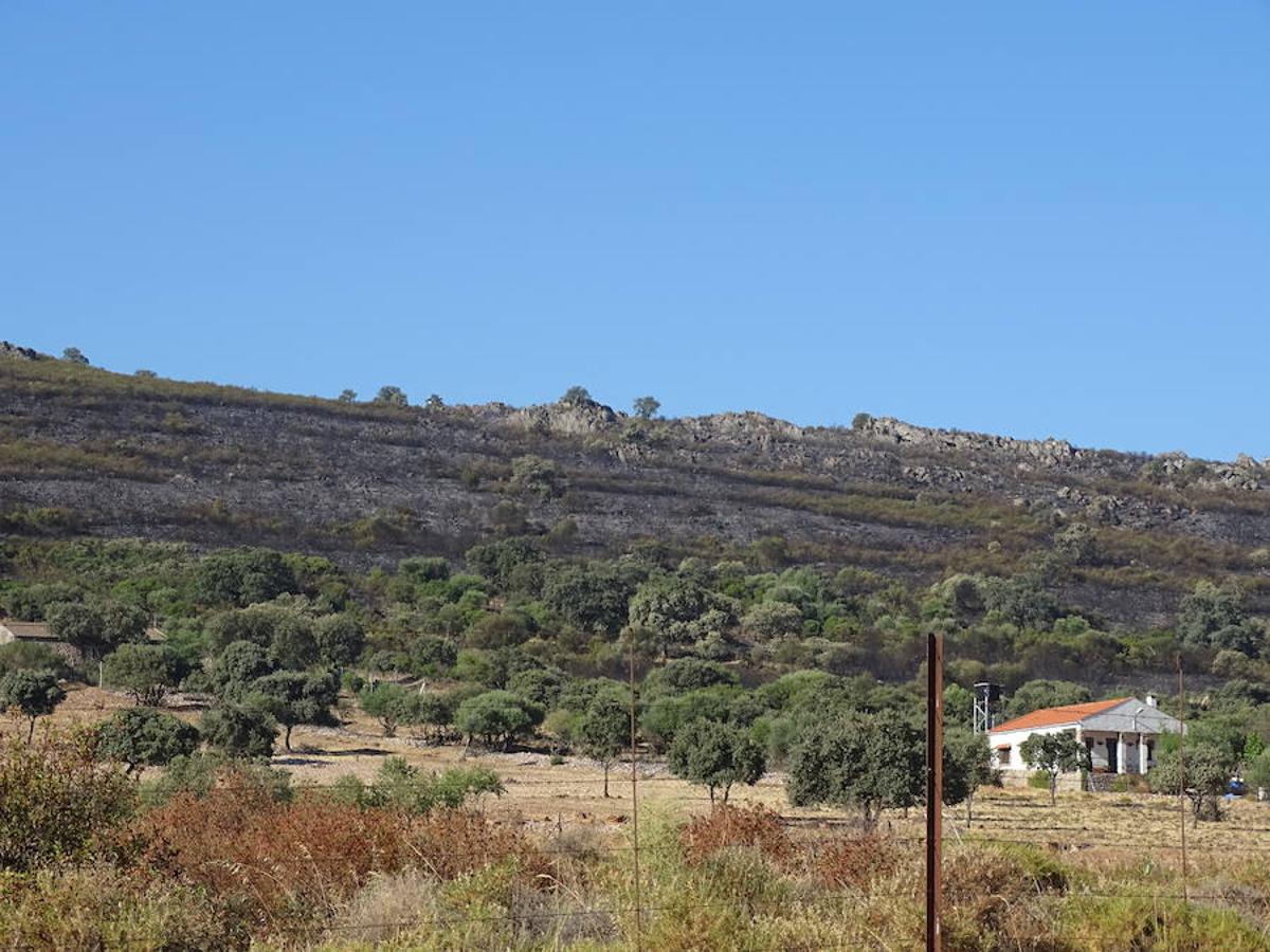 El fuego ha tenido en vilo la pasada noche a los vecinos de Arroyo y Calamonte y así estaban los terrenos afectados por el fuego esta mañana