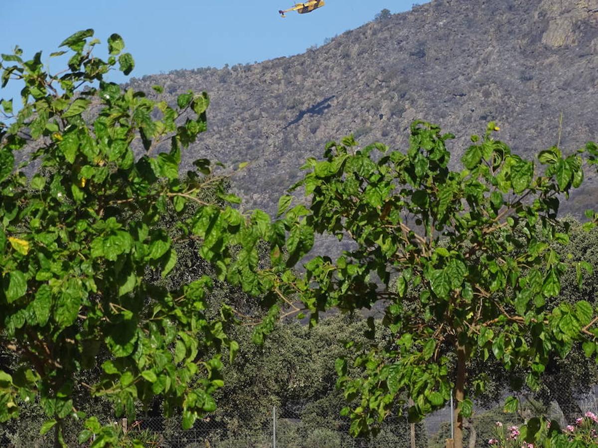 El fuego ha tenido en vilo la pasada noche a los vecinos de Arroyo y Calamonte y así estaban los terrenos afectados por el fuego esta mañana