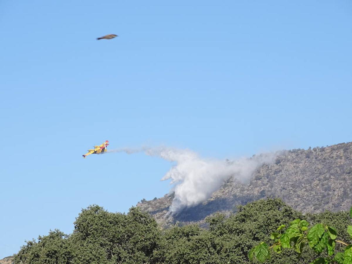 El fuego ha tenido en vilo la pasada noche a los vecinos de Arroyo y Calamonte y así estaban los terrenos afectados por el fuego esta mañana