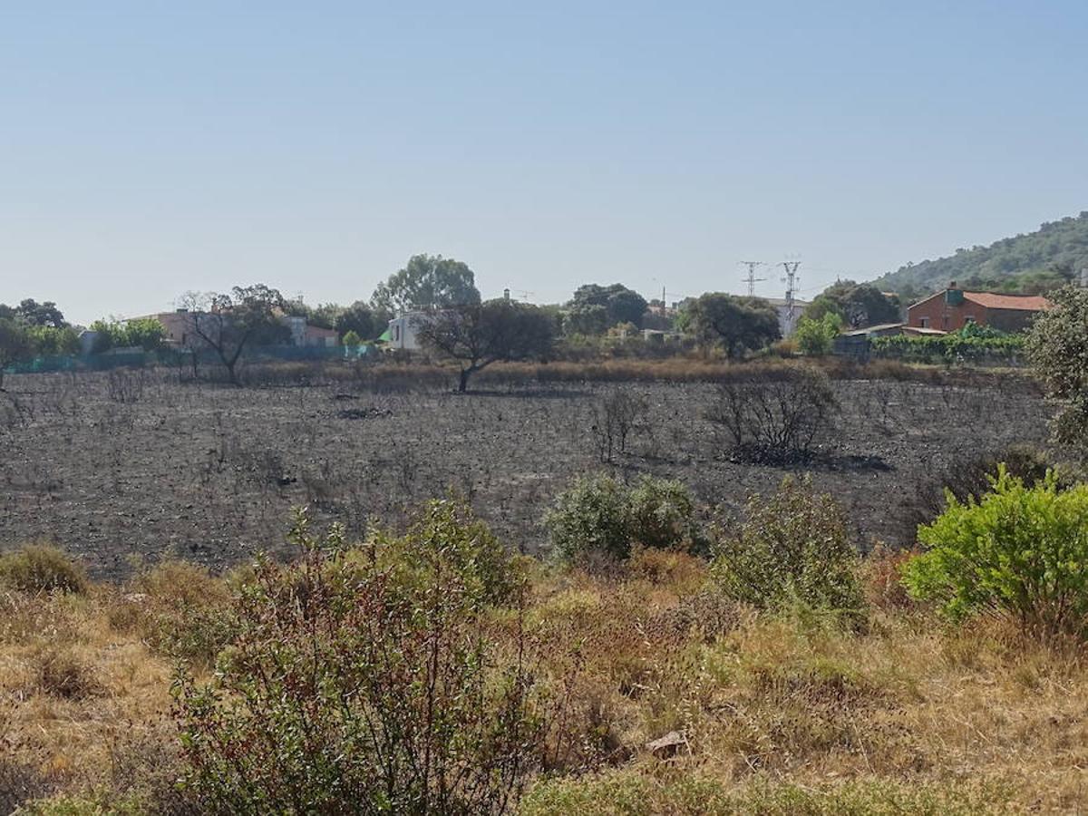 El fuego ha tenido en vilo la pasada noche a los vecinos de Arroyo y Calamonte y así estaban los terrenos afectados por el fuego esta mañana