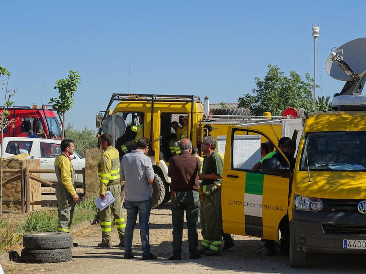 El fuego ha tenido en vilo la pasada noche a los vecinos de Arroyo y Calamonte y así estaban los terrenos afectados por el fuego esta mañana