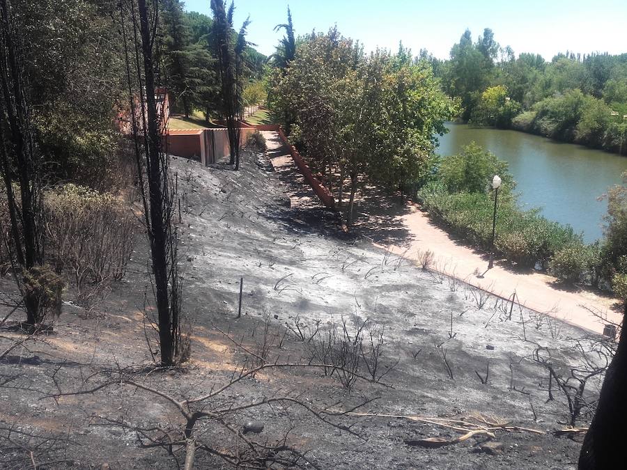 Fuego en los jardines del Guadianilla