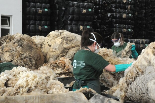 Dos trabajadoras seleccionan la lana. :: hoy