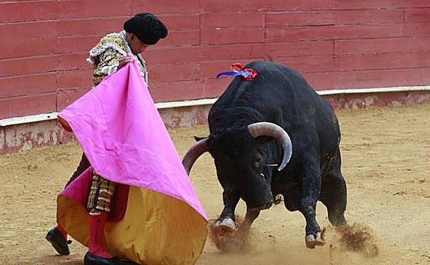 El torero extremeño Antonio Ferrera.
