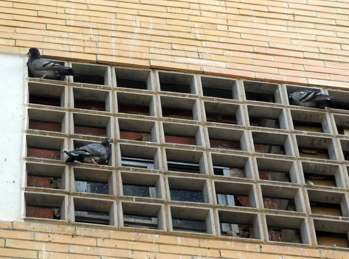 Los vecinos de la Plazoleta, en Mérida, critican la proliferación de los excrementos de las aves y su falta de limpieza.