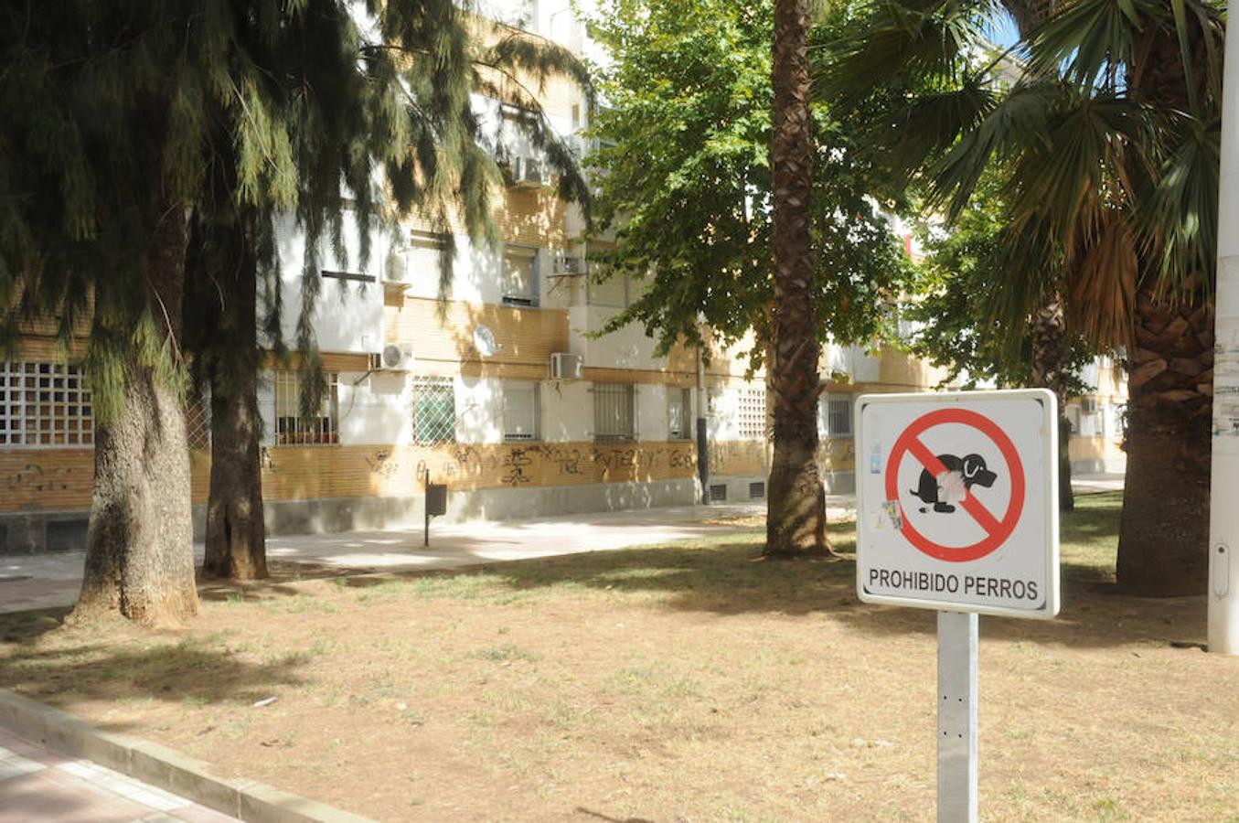 Los vecinos de la Plazoleta, en Mérida, critican la proliferación de los excrementos de las aves y su falta de limpieza.