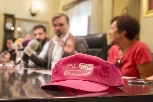 Presentación de la Marcha Rosa ayer en la alcaldía. :: andy solé