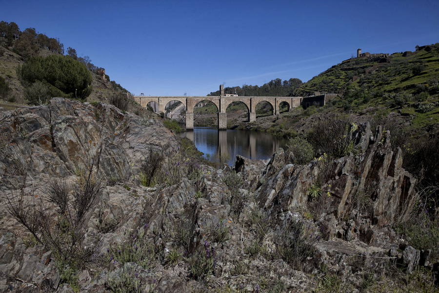 Puente de Alcántara:: HOY