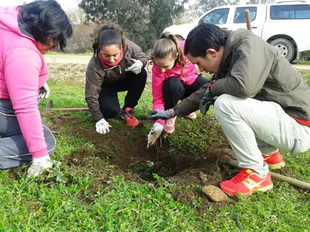 Voluntarios de Inclusives en la naturaleza. :: m. m.