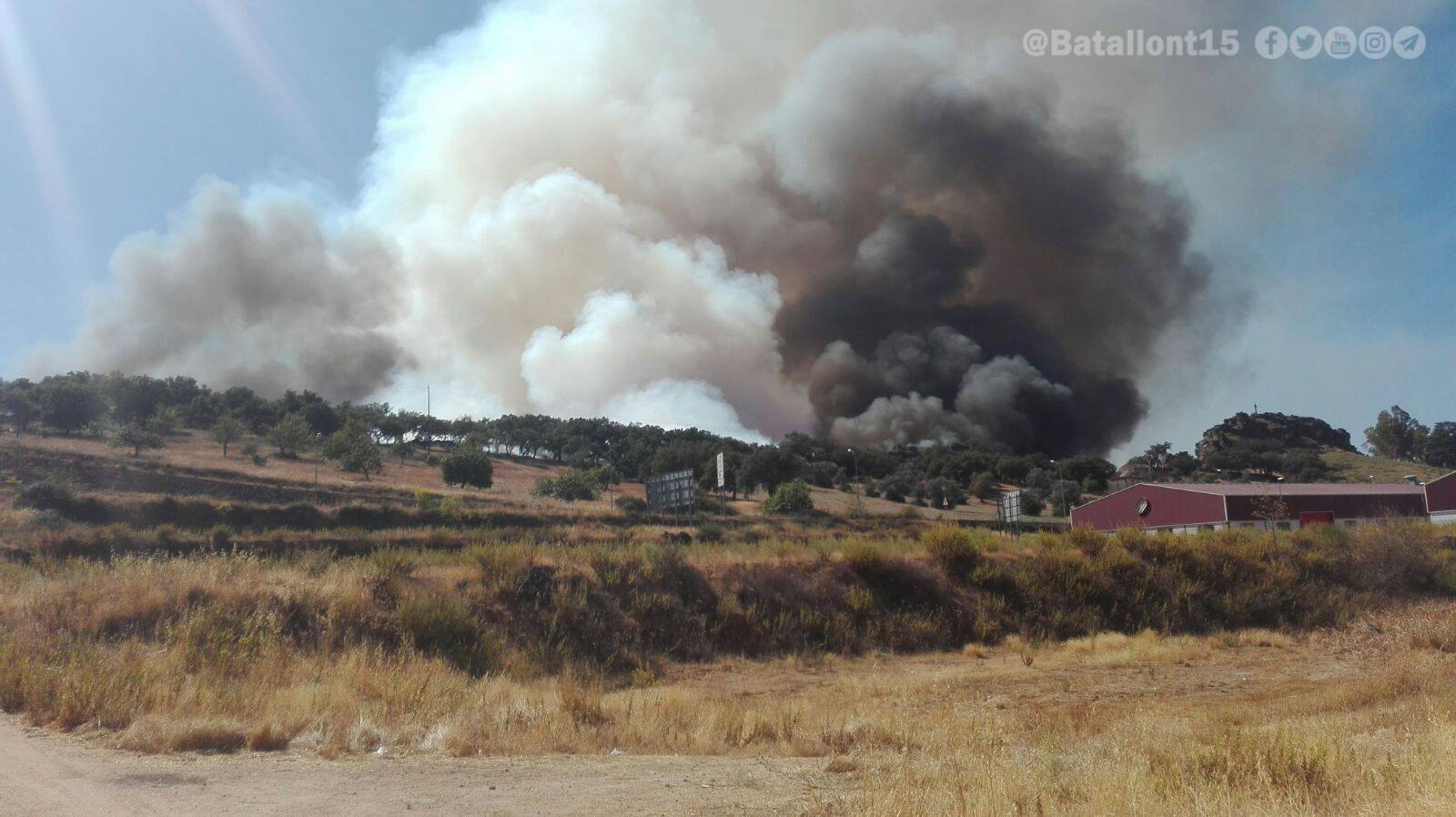 Columna de humo en el incendio forestal de Alburquerque:.