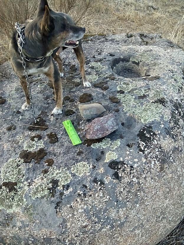 Roca con los grabados, 'custodiada' por el perro Rebelde. :: f. b.