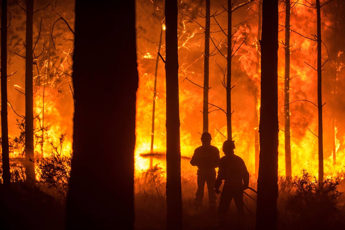Unos hombres luchan contra las llamas en un incendio forestal declarado en Vieira de Leiria en Marinha Grande