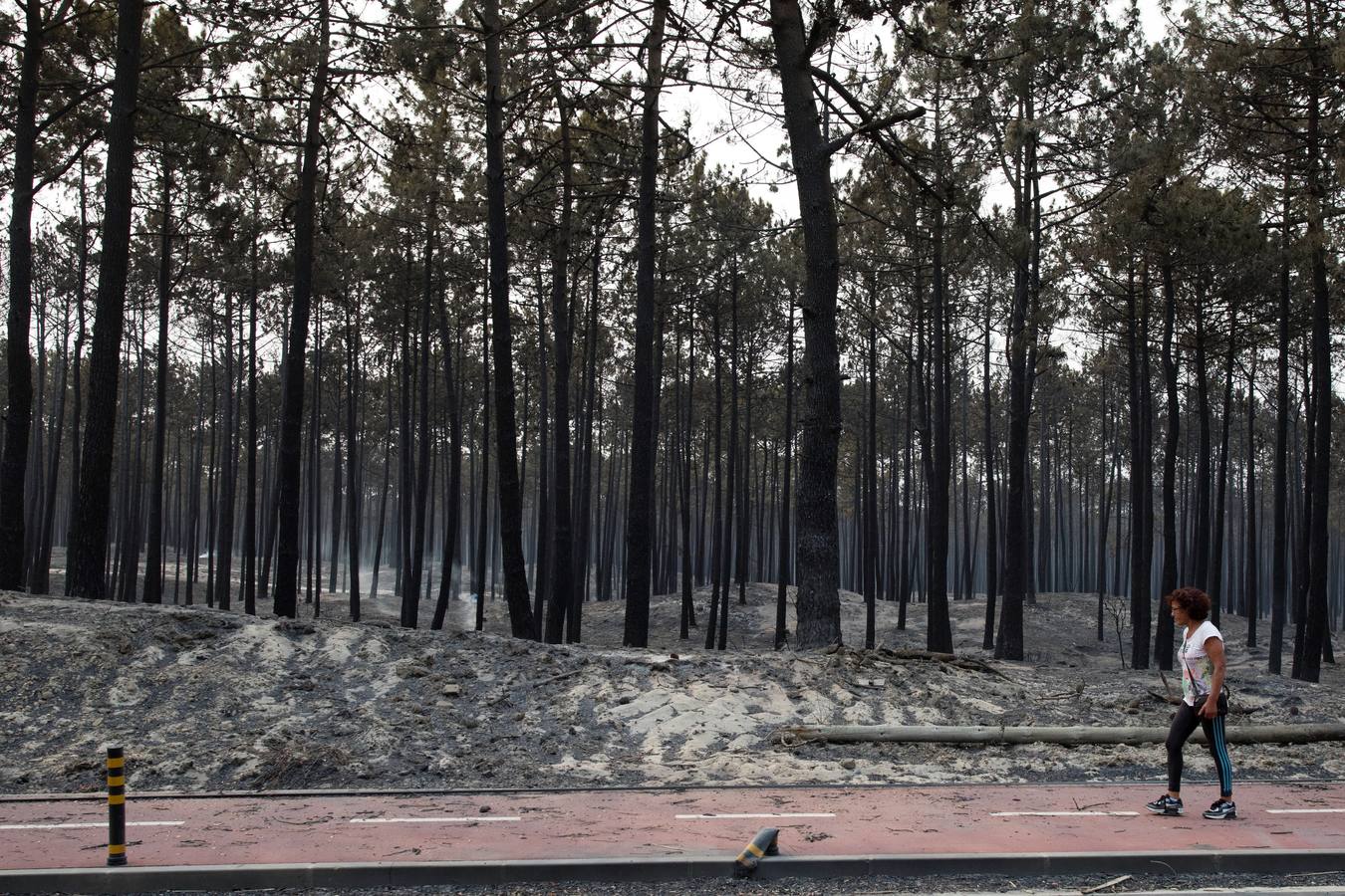 Vista de los daños en el paisaje tras un incendio forestal en un camping en Marinha Grande, en el centro de Portugal, 