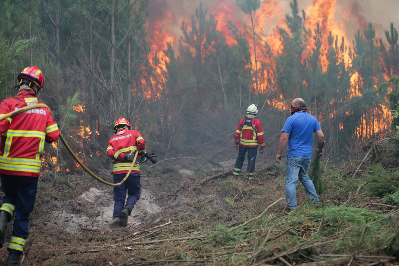 Efectivos de bomberos intentan sofocar las llamas en un incendio forestal declarado en Gaeiras, Marinha Grande, centro de Portugal 